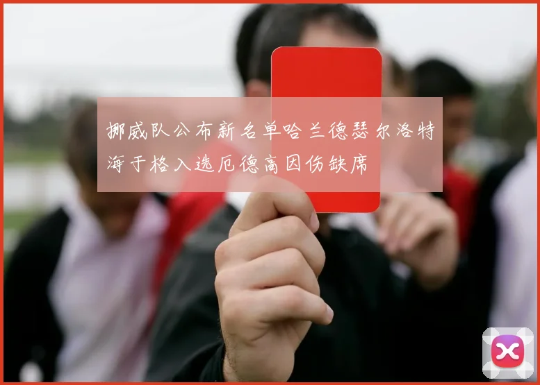 挪威队公布新名单哈兰德瑟尔洛特海于格入选厄德高因伤缺席