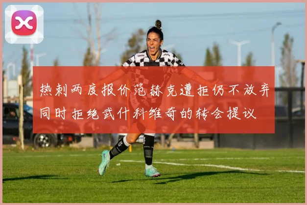 热刺两度报价范赫克遭拒仍不放弃同时拒绝武什科维奇的转会提议