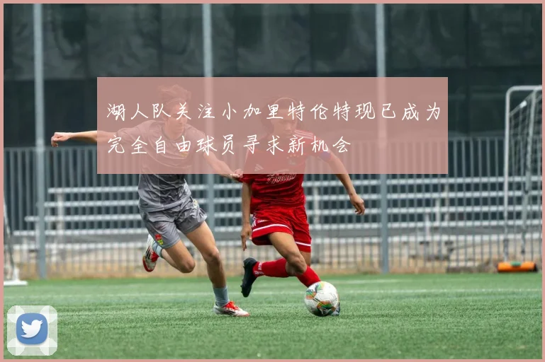 湖人队关注小加里特伦特现已成为完全自由球员寻求新机会